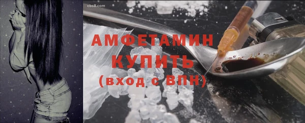 амф Володарск