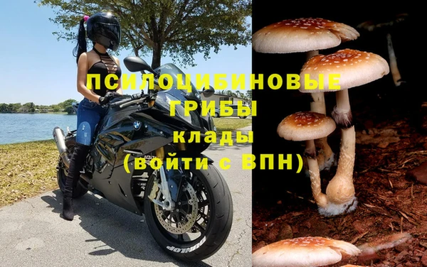 амф Володарск