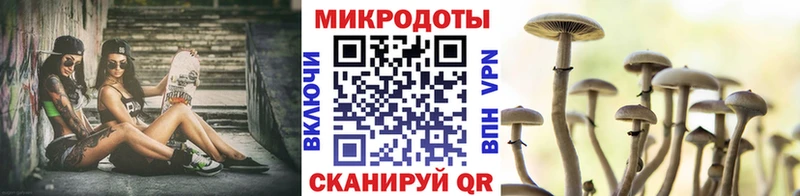kraken ТОР  Калтан  Псилоцибиновые грибы Psilocybine cubensis 